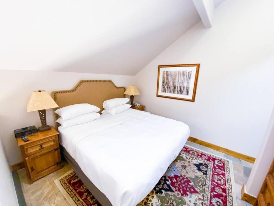 2 Bedroom Condominium - Luxury Skiin And Out Telluride Extérieur photo